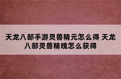 天龙八部手游灵兽精元怎么得 天龙八部灵兽精魄怎么获得